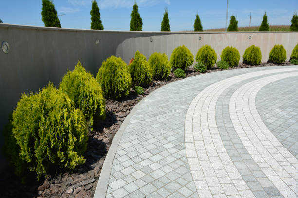 Best Paver Driveway Replacement  in College, AK